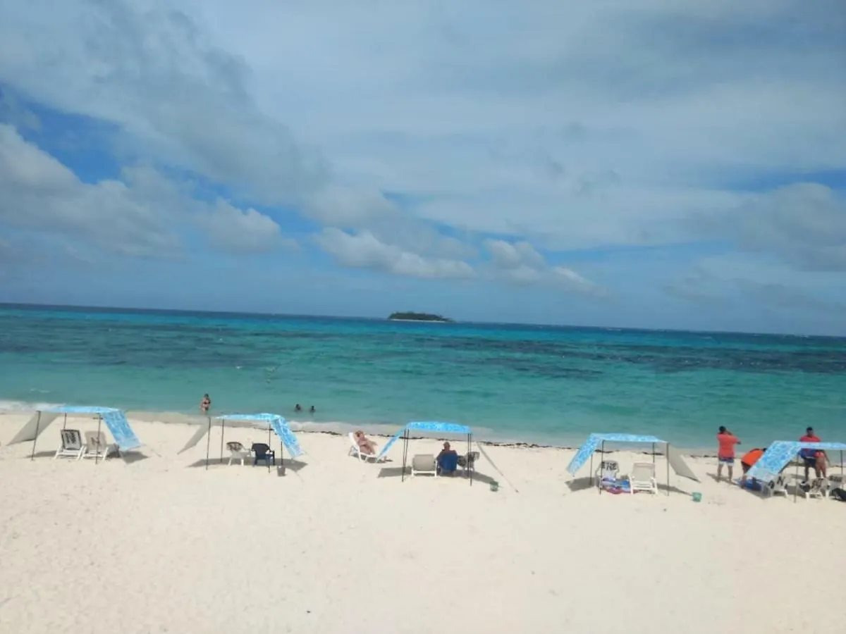 Hostel Hostal Palo Alto San Andres